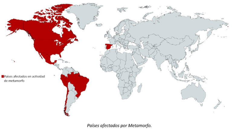 Screenshot_1.png Screenshot_1.png